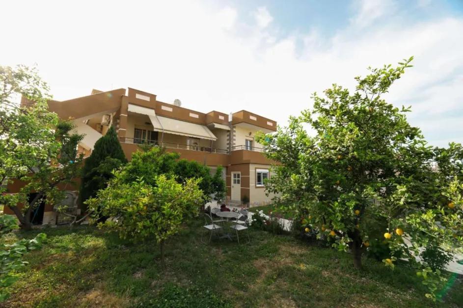 Vila Agolli Vlorë Exteriör bild
