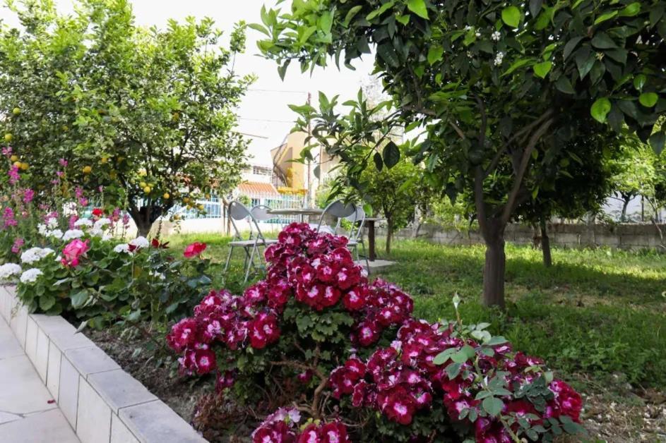 Vila Agolli Vlorë Exteriör bild
